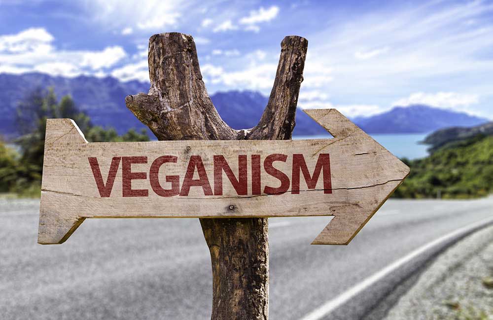 High Carb Vegan Veganism